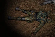Lingov dead.png (436 kB) El cuerpo de Lingov muerto en la granja