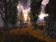 10 января 2007