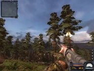 The Bozar being fired