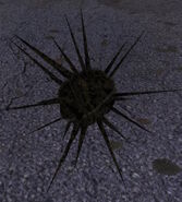 Crystal Thorn.jpg (323 kio) Épine cristalline dans S.T.A.L.K.E.R. Shadow of Chernobyl