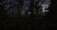 Forêt Rouge dans Shadow of Chernobyl