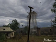 19 февраля 2006