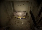 "The Stash which is located in a house in the right of the Iron Forest Gate"