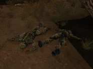 Zwłoki członków Wolności