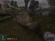 Looking south at the Production complex.