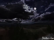 19 февраля 2006