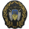 Beret patch