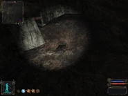 BackpackInTheTunnelStash.jpg (74 KB) In the back of the tunnel.