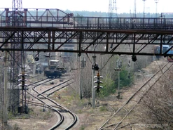 535163988.jpg (299 kB)