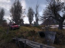The Zone 1