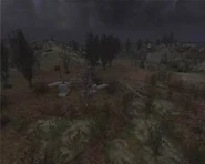 Болотистая местность