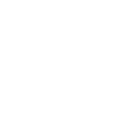 Mercenaries