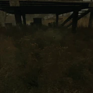 Gazirovka blast.gif (2,79 МБ) Реакция аномалии на инородный предмет