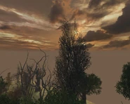 10 апреля 2006