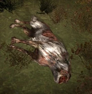 A dead Psy-dog.