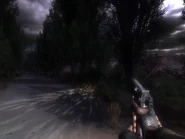 11 января 2021