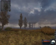 Close to the northern road