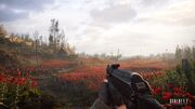 STALKER 2 Poppy Fields ZUBR 19