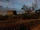 Fisherman's Cabins