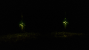 An inside view of the anomaly.