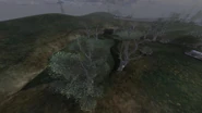 The swamp in Shadow of Chernobyl