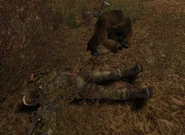 Przeszukiwanie; jasne jest, że NPC szuka w niewłaściwym miejscu