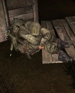 Ss user 07-24-13 21-32-13 (military).jpg (39 Кб) NPC за отдыхом