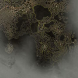 Swamps Map