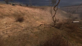 Стоянка за болотом