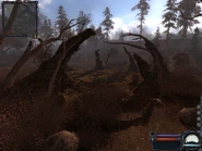 The Symbiont anomaly at the Devilish encampment.