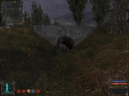 SecretPlaceInThePipeStart.jpg (116 KB)