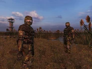 Military stalkers in the swamps