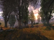 14 февраля 2007