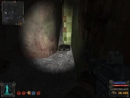 Along the north wall.