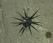 CrystalThornWild.png (99 KB)