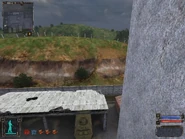 Just to the right of the bush.