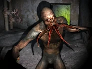 24 апреля 2021