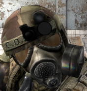 Gas mask variant