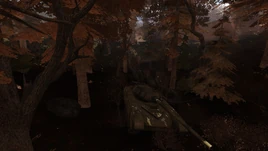 Ss home 08-22-16 19-19-08 (red forest)