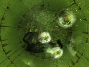 Galareta 8.jpg (133 KB)