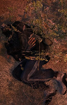 Main SoC build character bandit novice wounded