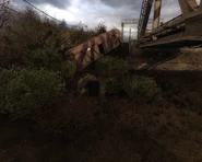 Entrance to the cave