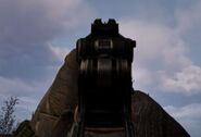 Iron sights.