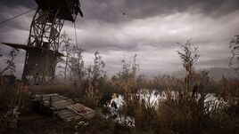 Swamps HOC