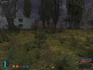 Stash location looking back toward the Bandit Base.