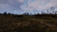 The Wandering Lights location during daytime.