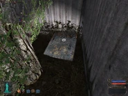 SecretStashBehindTheTreeStash.jpg (138 KB) Just the door showing.