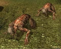 A pair of Snorks in Call of Pripyat.