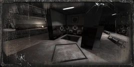 Basen kryty w grze sieciowej