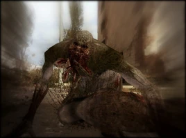 Marsh Bloodsucker eating